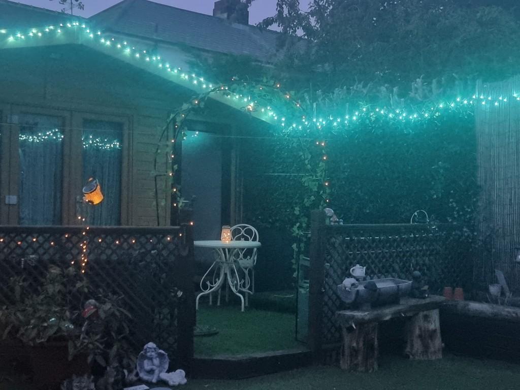 Garden 4