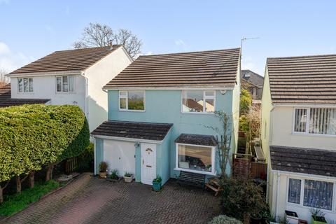14 Burn River Rise, Torquay, TQ2 7RH