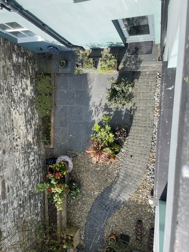 Garden 1