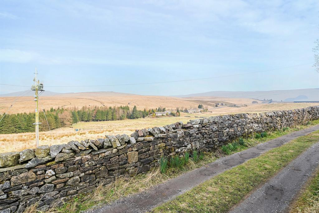 Countryside Views