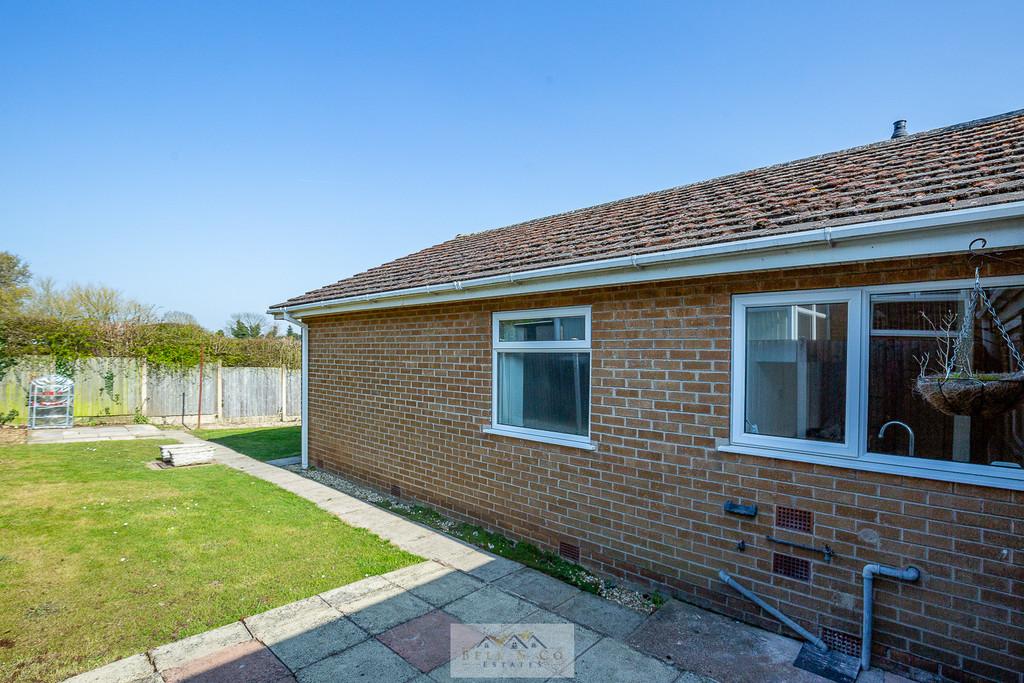 Back garden 1.1