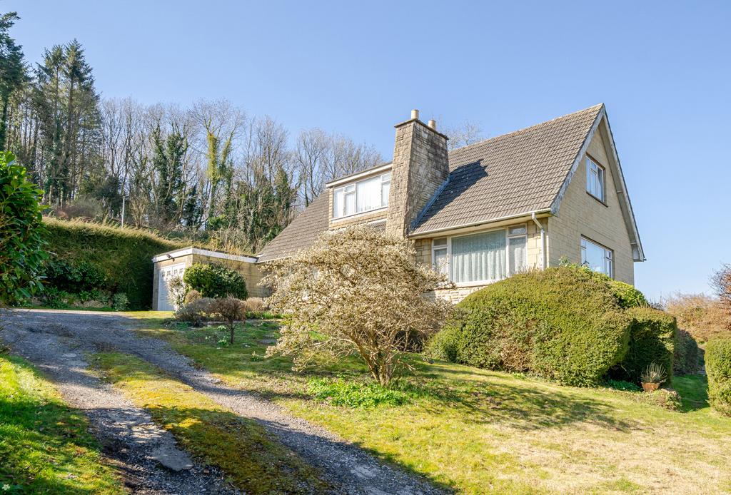 Garden and Drive