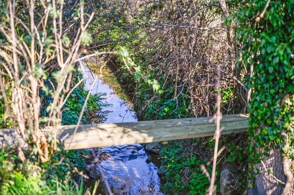 Stream