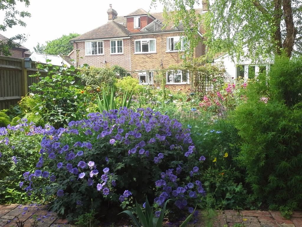 Summer Garden