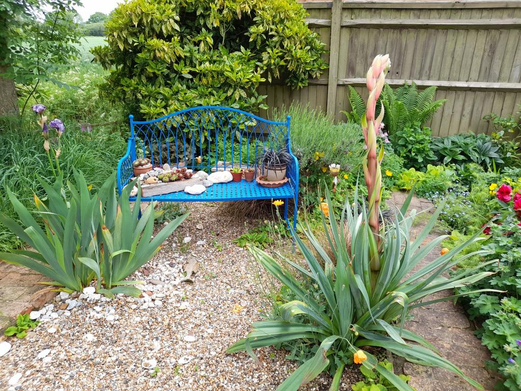 Summer Garden