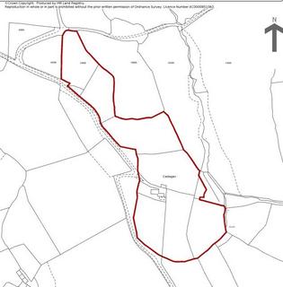 undefined, Cellan, Lampeter