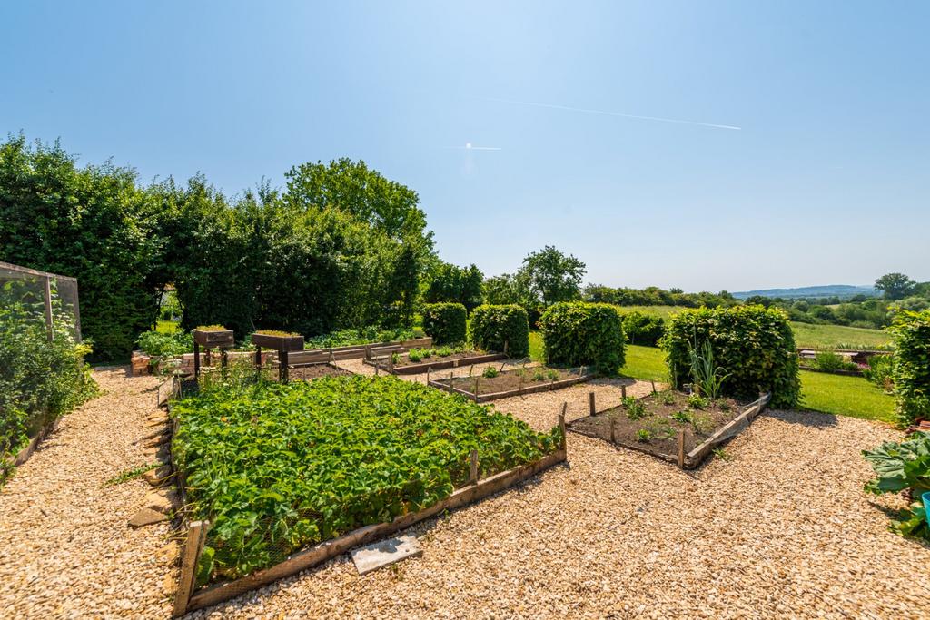 Vegetable Garden