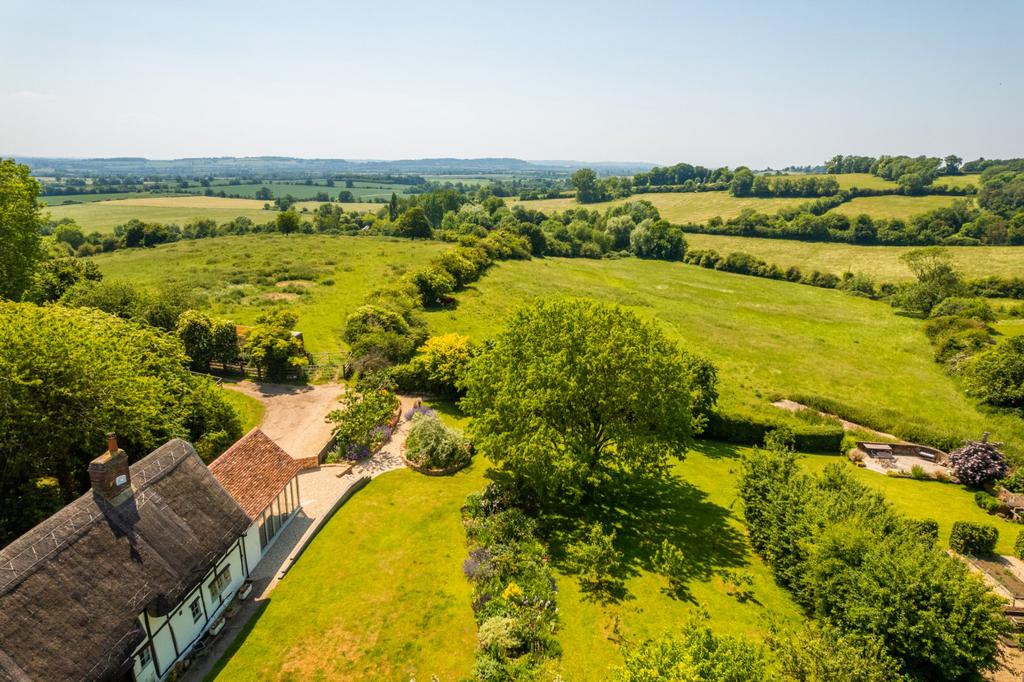 Garden / Views