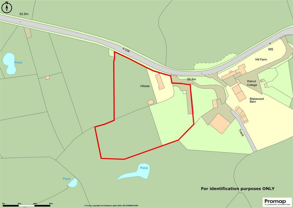 Promap-2871123-2973151-750-0.jpg