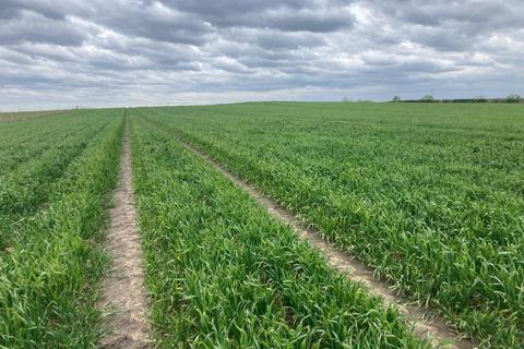 Farm for sale, Old Sharlston, Wakefield