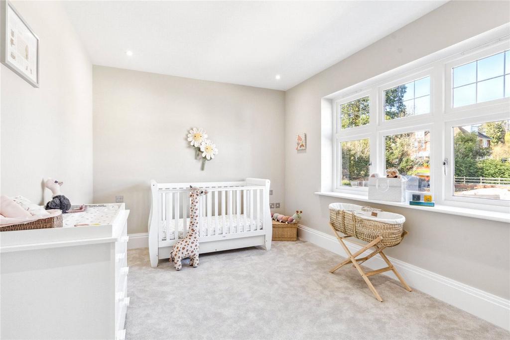 * Show Home