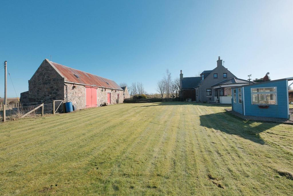 MFL1244742 826.jpg