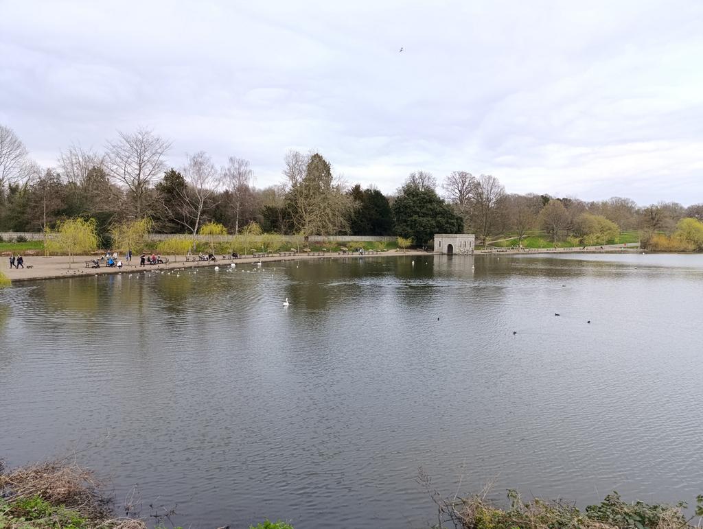 Mote Park
