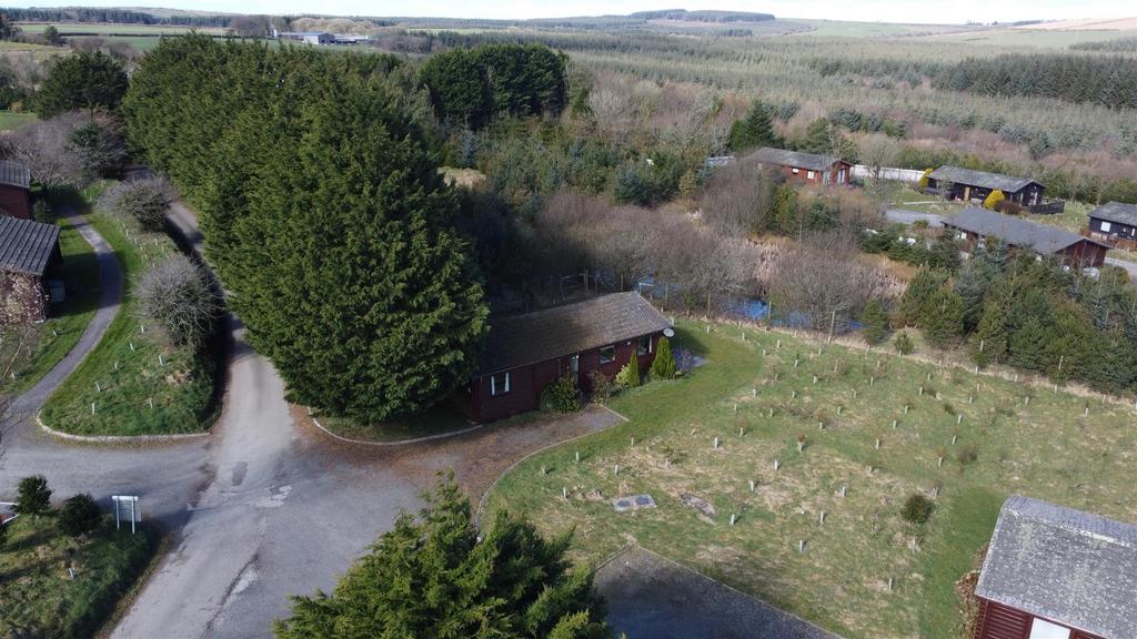 Dji 0351.jpg