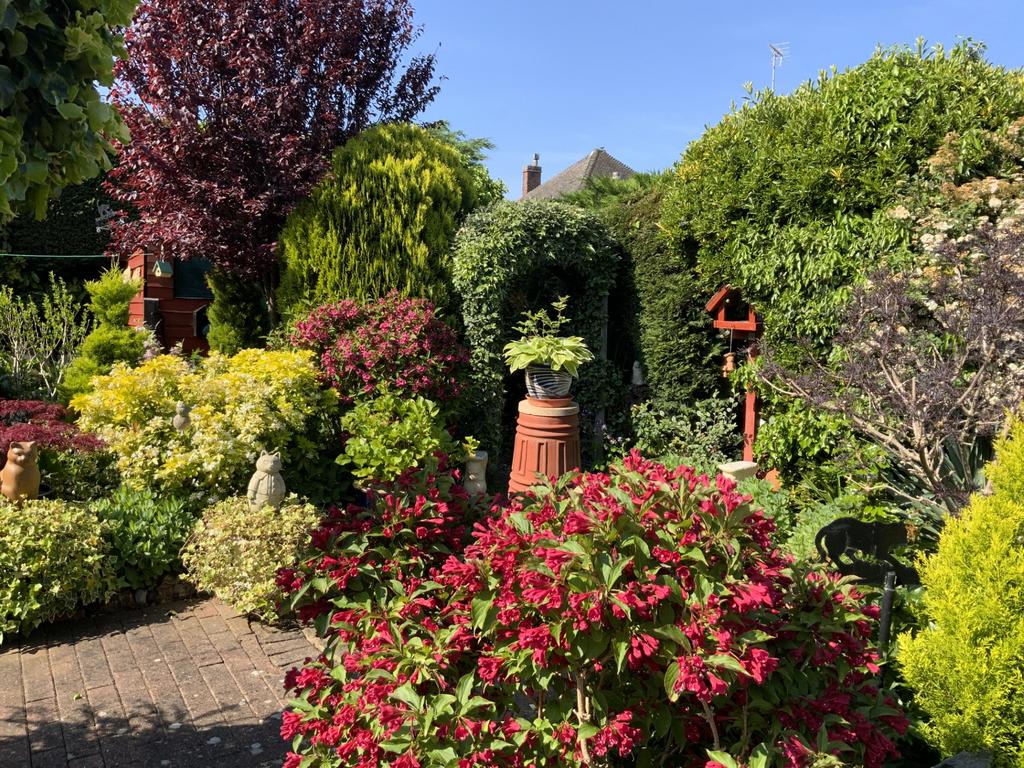 Garden 2