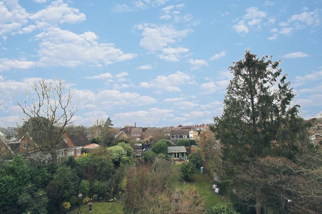View - Roof Garden