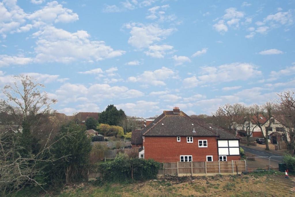 View - Roof Garden