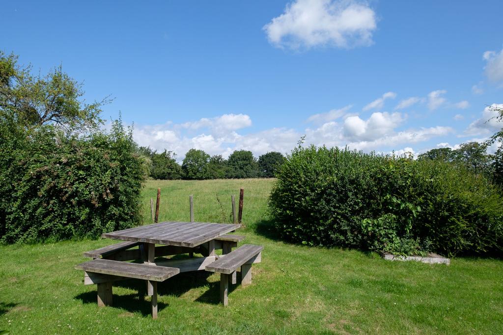 Rural Views