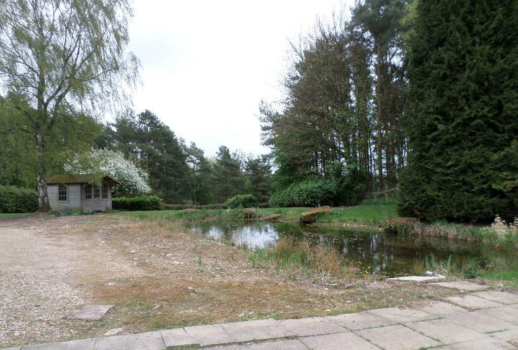 Outside space.JPG
