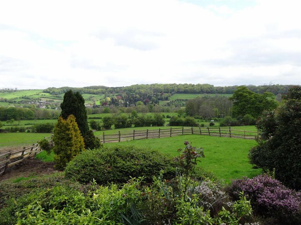 View.jpg