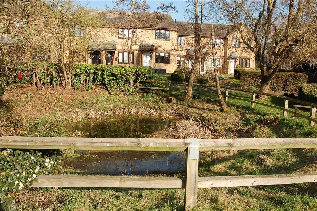 View of the pond