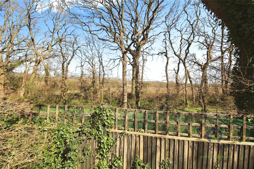 Backing Cuckoo Trail