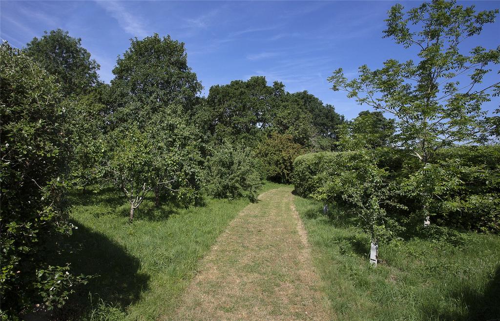 Grounds