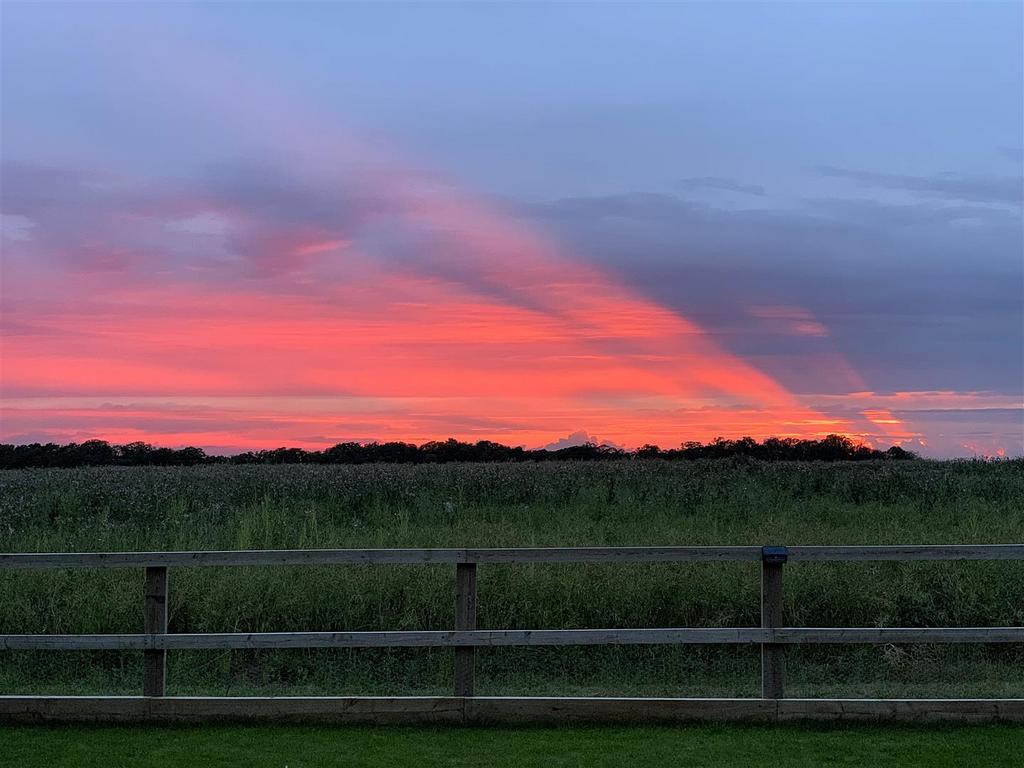 Sunset View