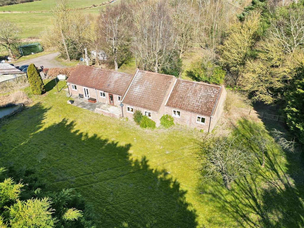 DJI 0736.jpg