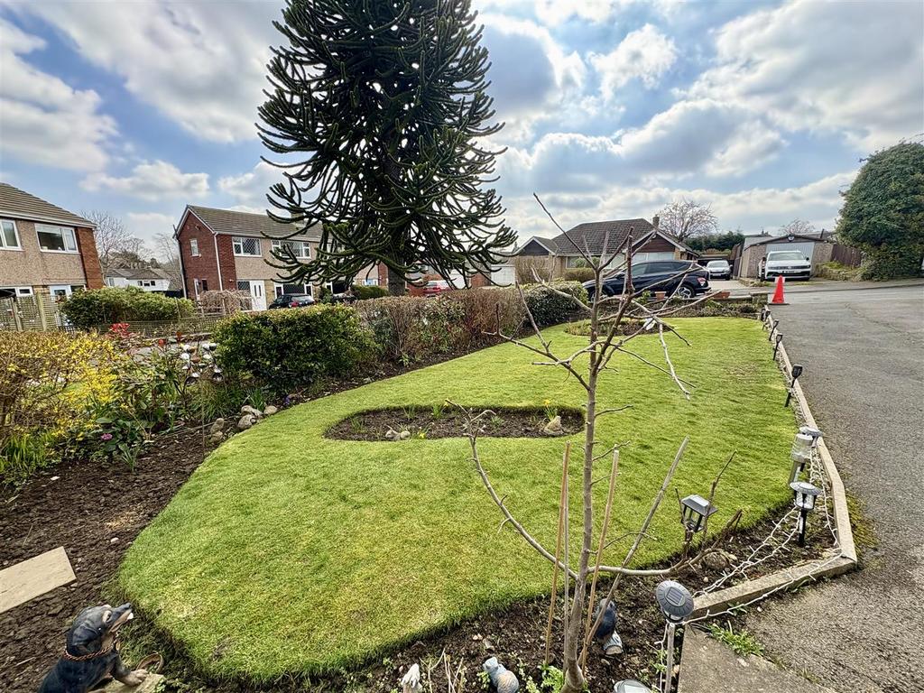 IMG 4514.jpg