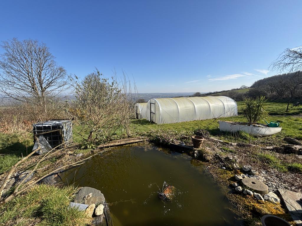 Pond and patio area