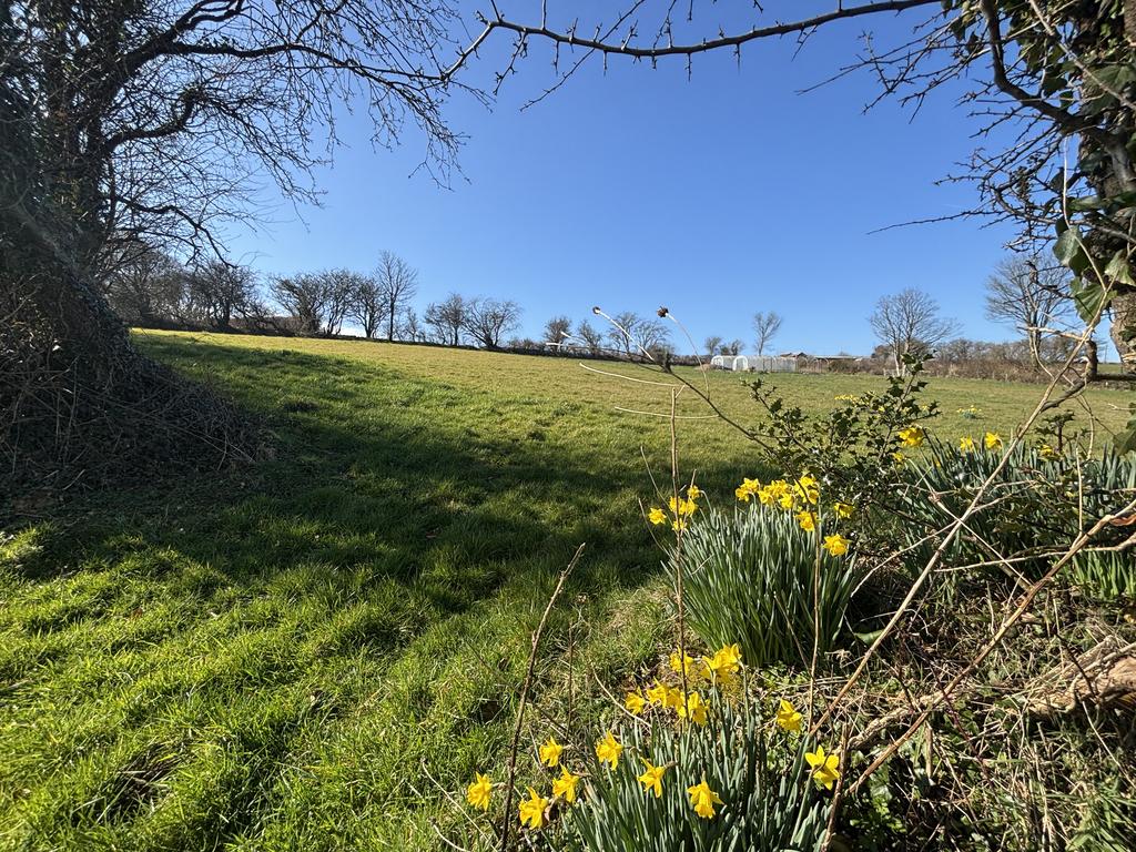 Land (fifth image)