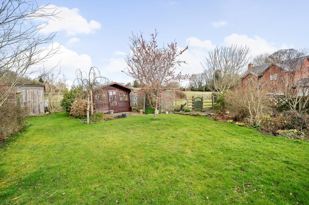 Photos