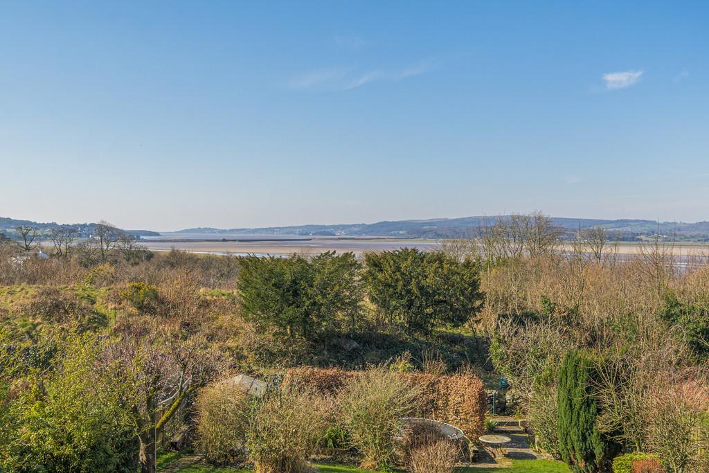 Views from the Garden