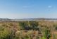 Views from the Garden
