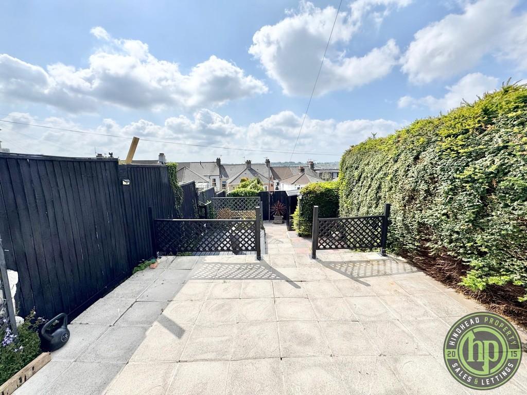 Back Garden