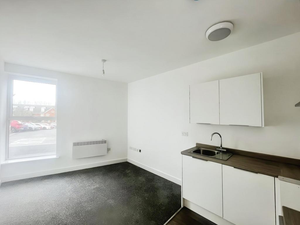 Living Area/Kitchen