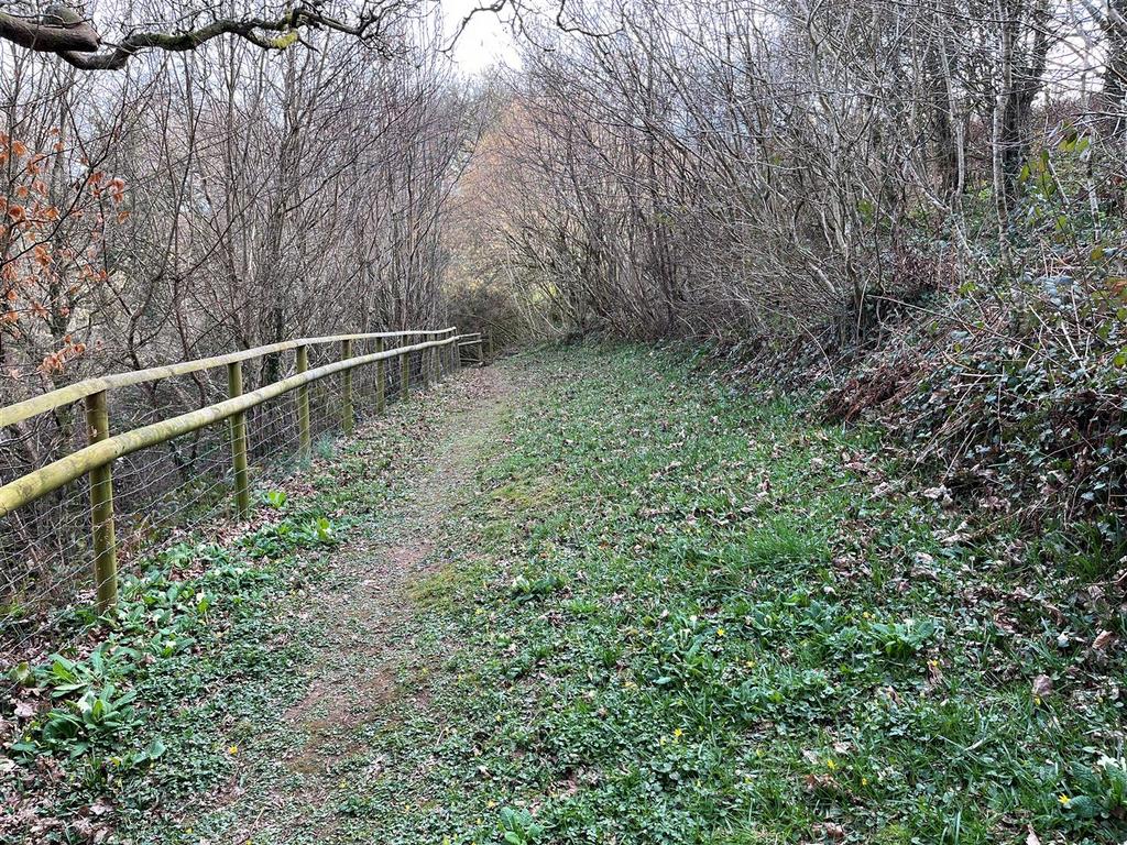 Country Path to Meadow.jpg