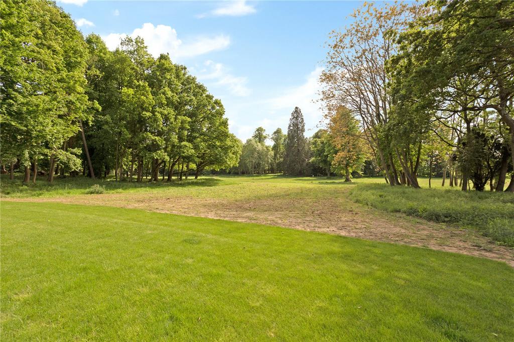 Grounds