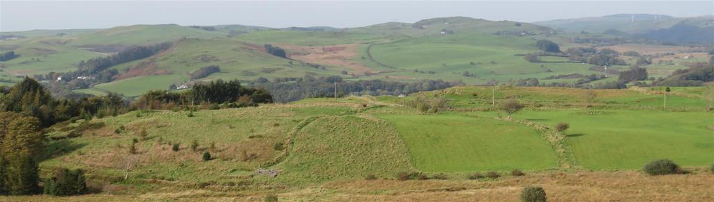 Img 2108.jpg