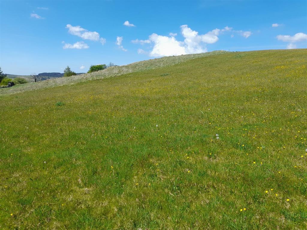 20250506 124311.jpg