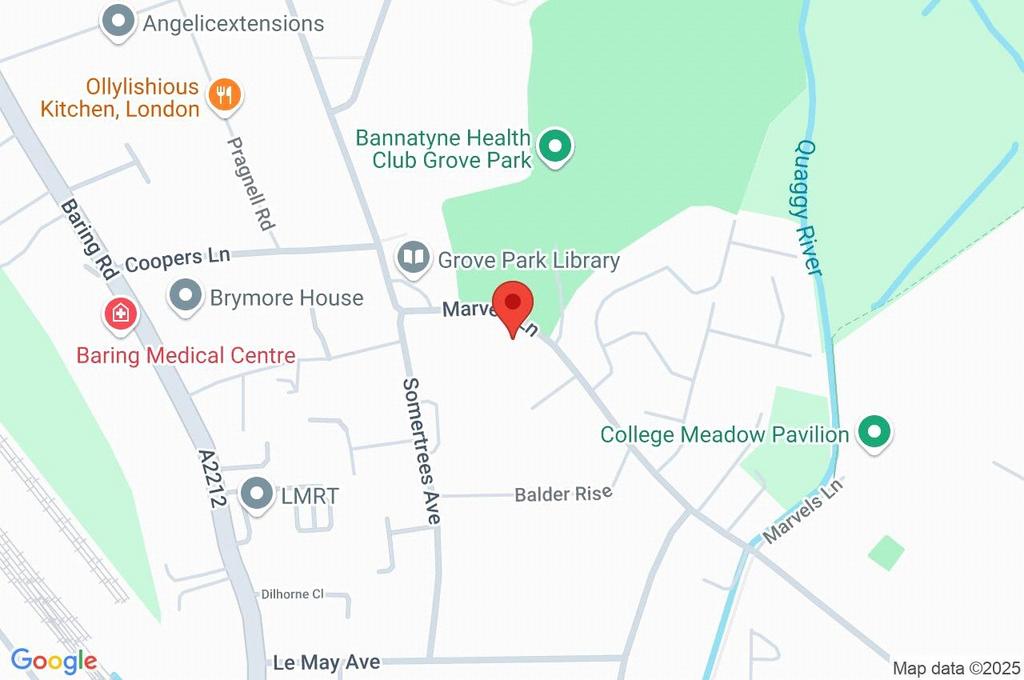 Google Maps Image