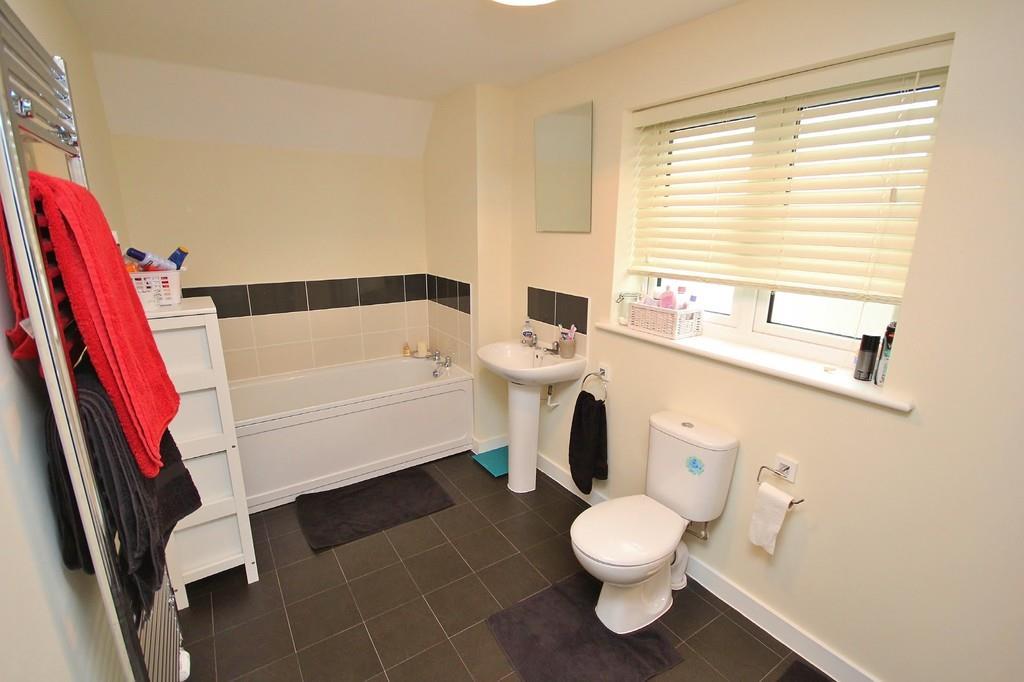 IMG 6231 7 large.jpg