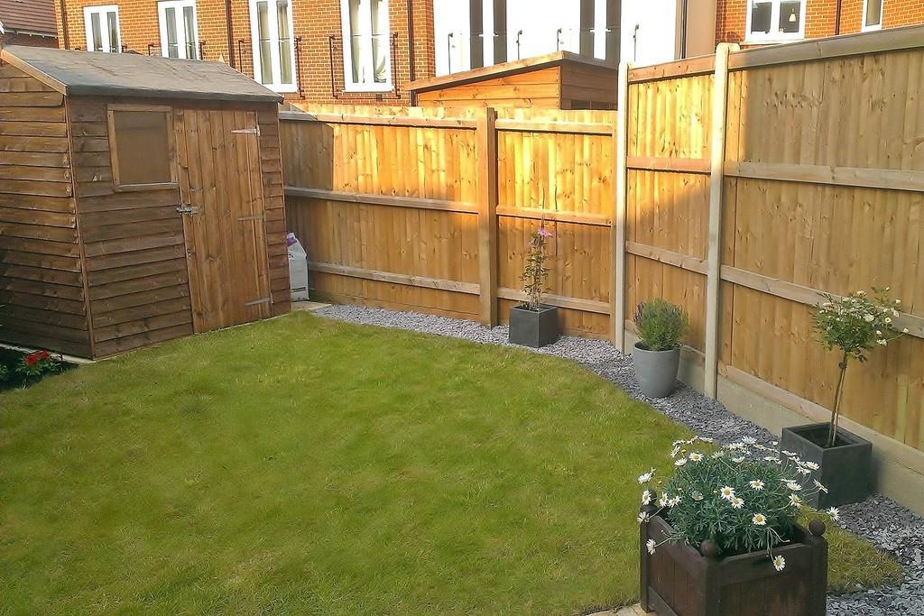 IMG 6231 13 large.jpg