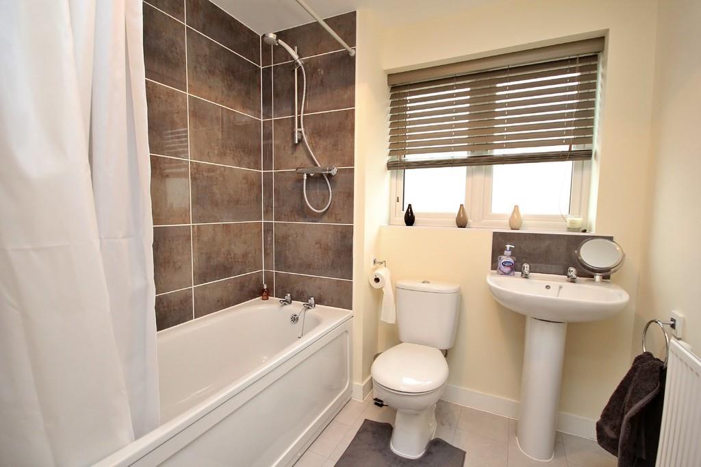 IMG 6231 1 large.jpg