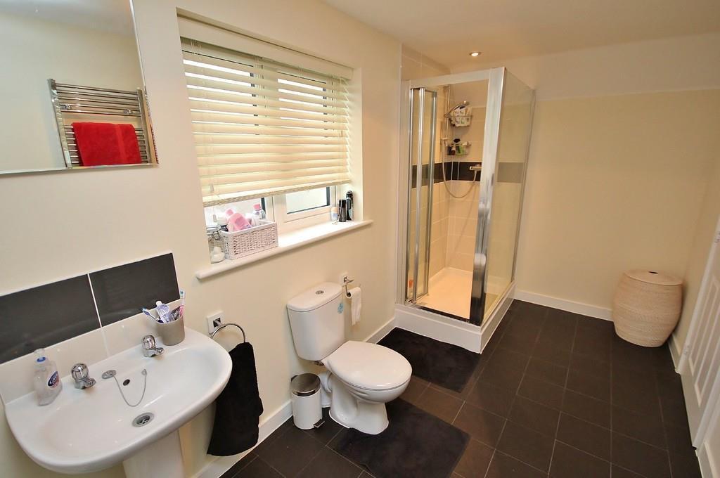 IMG 6231 6 large.jpg