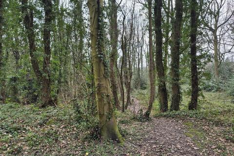Land for sale, Woodland at Ashover Road, Old Tupton, Chesterfield