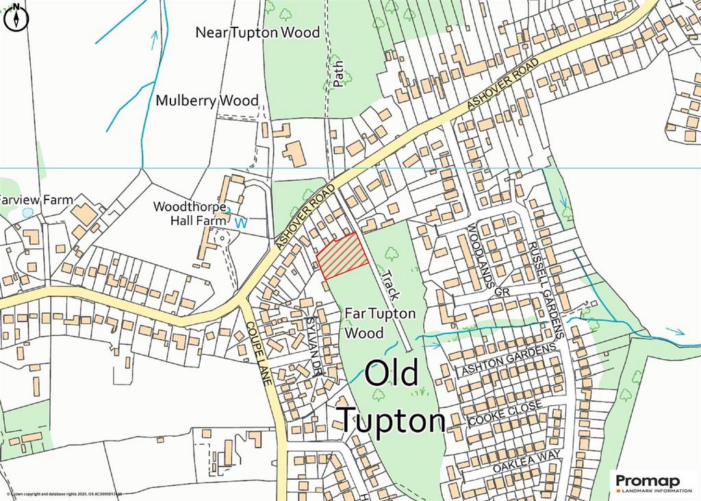 Woodland at Tupton.jpg