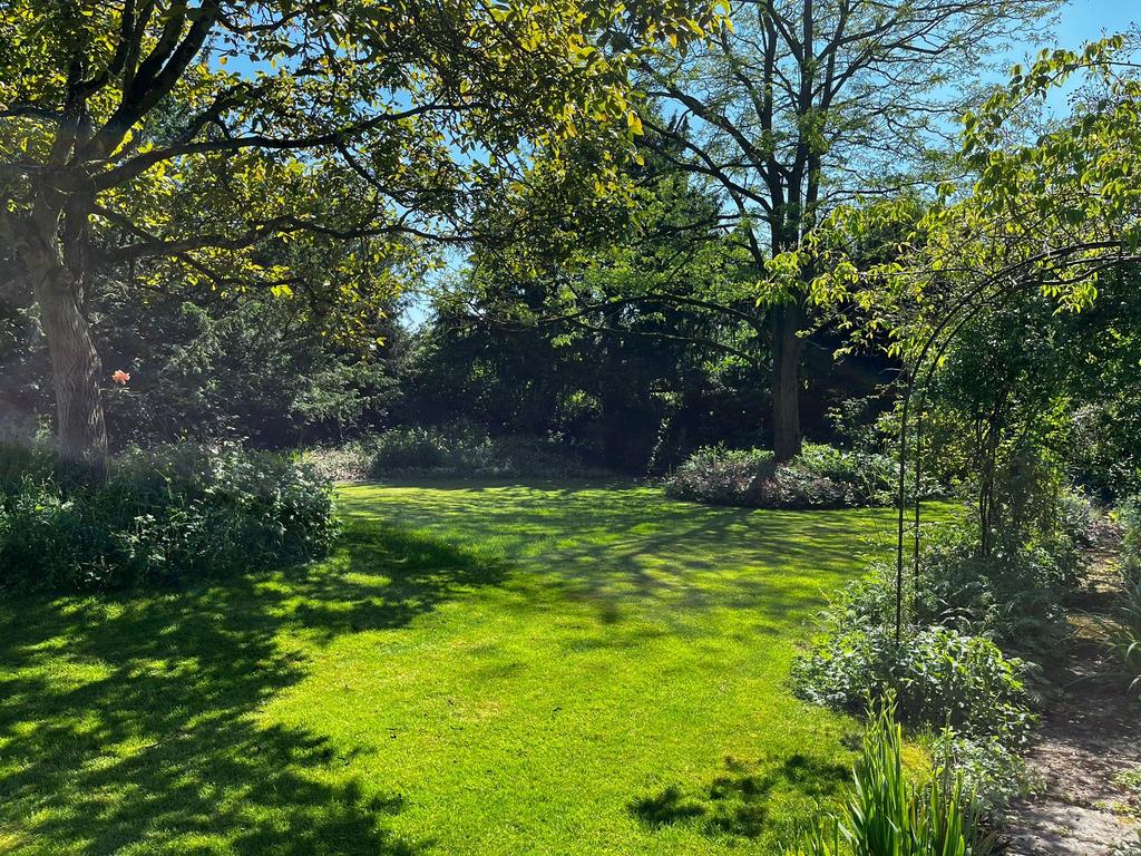 Garden In Summer