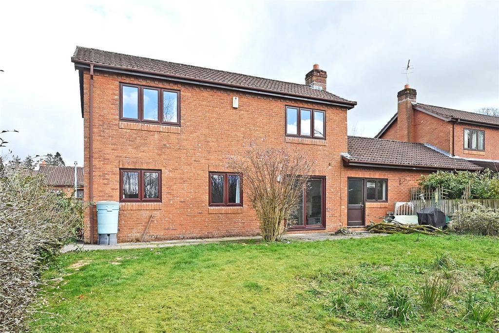Rear Elevation
